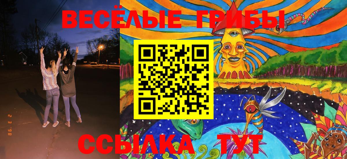 Галлюциногенные грибы Cubensis  Вход с VPN  Галлюциногенные грибы GOLDEN TEACHER  Волжск 